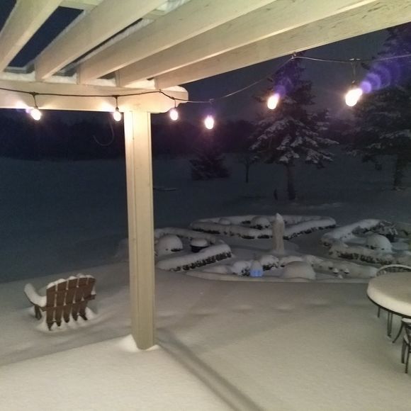 Meet your Posher, Benny - Picture 1 of 1